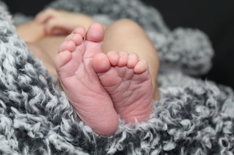 Close-up of a newborn baby's bare feet wrapped in a gray knitted blanket