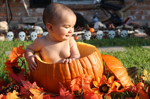 Baby sitting inside a hollowed pumpkin surrounded by fall flowers and decorations in a pumpkin patch
